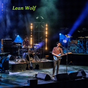 Lean wolf